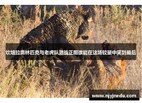 坎培拉奥林匹克与老虎队激战正酣谁能在这场较量中笑到最后