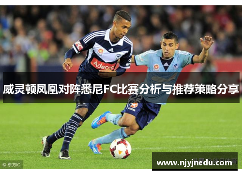 威灵顿凤凰对阵悉尼FC比赛分析与推荐策略分享